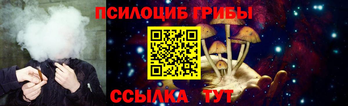 Галлюциногенные грибы Psilocybine cubensis Качканар